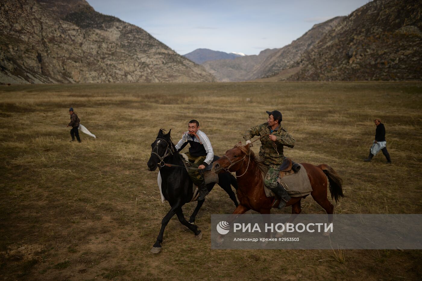 Чемпионат Республики Алтай по Кок-бору