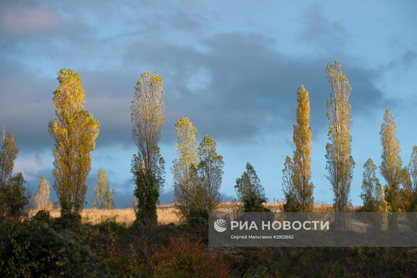 Осень в Крыму
