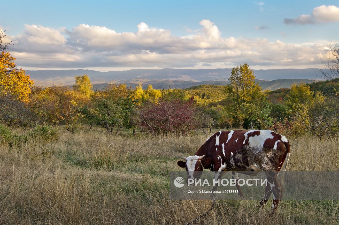 Осень в Крыму