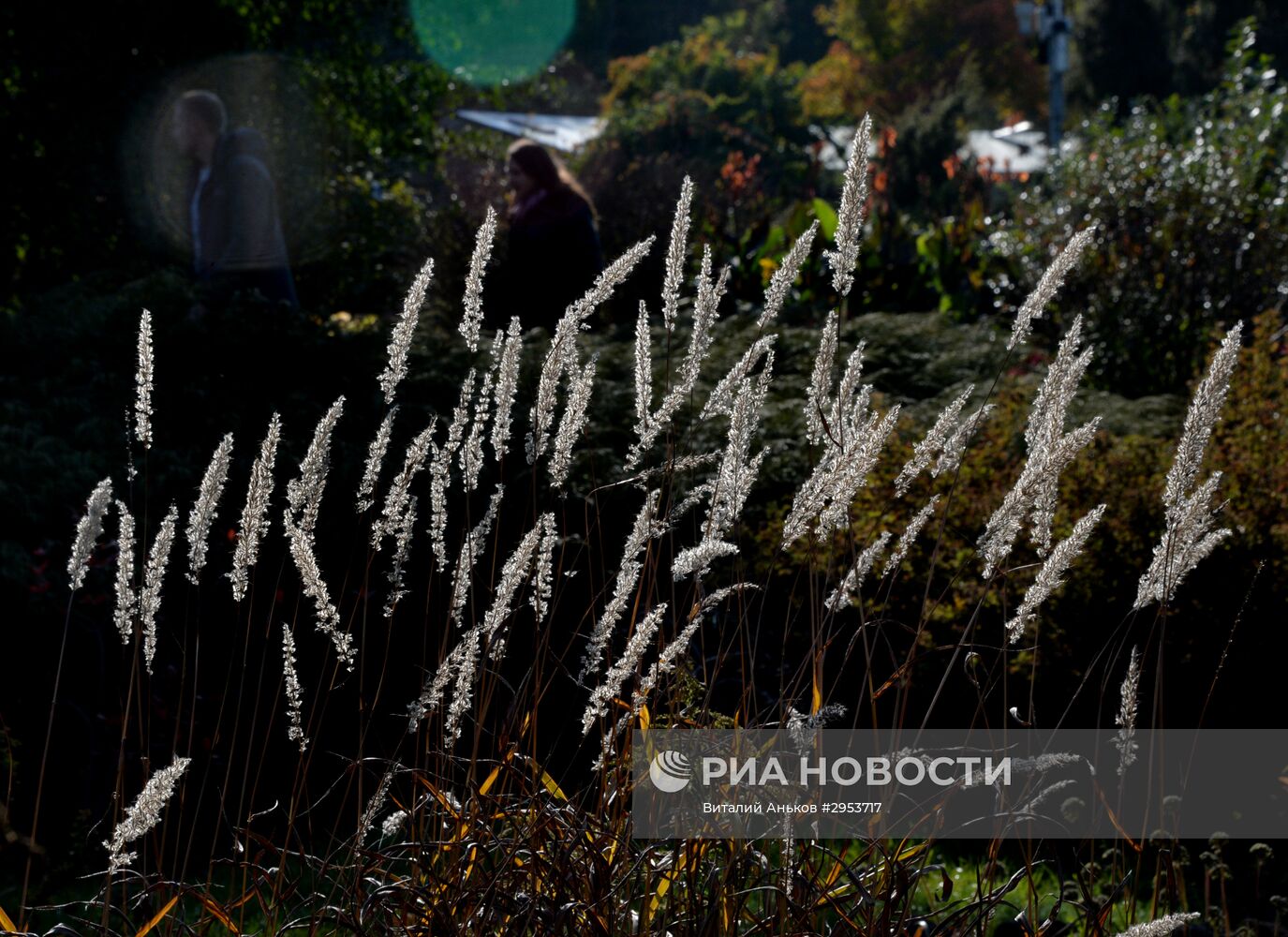 Семейный отдых в Ботаническом саду во Владивостоке