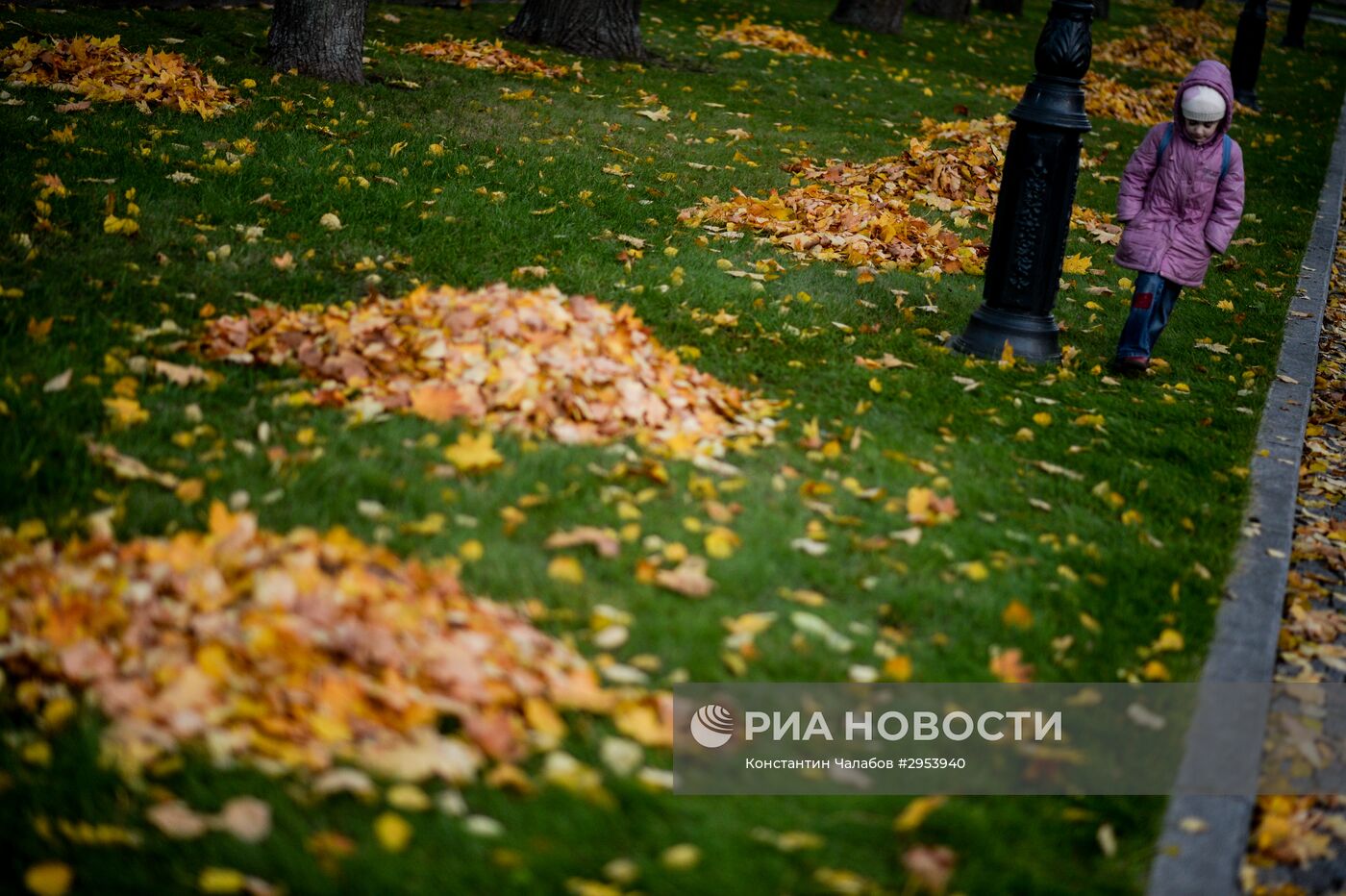 Золотая осень в Великом Новгороде