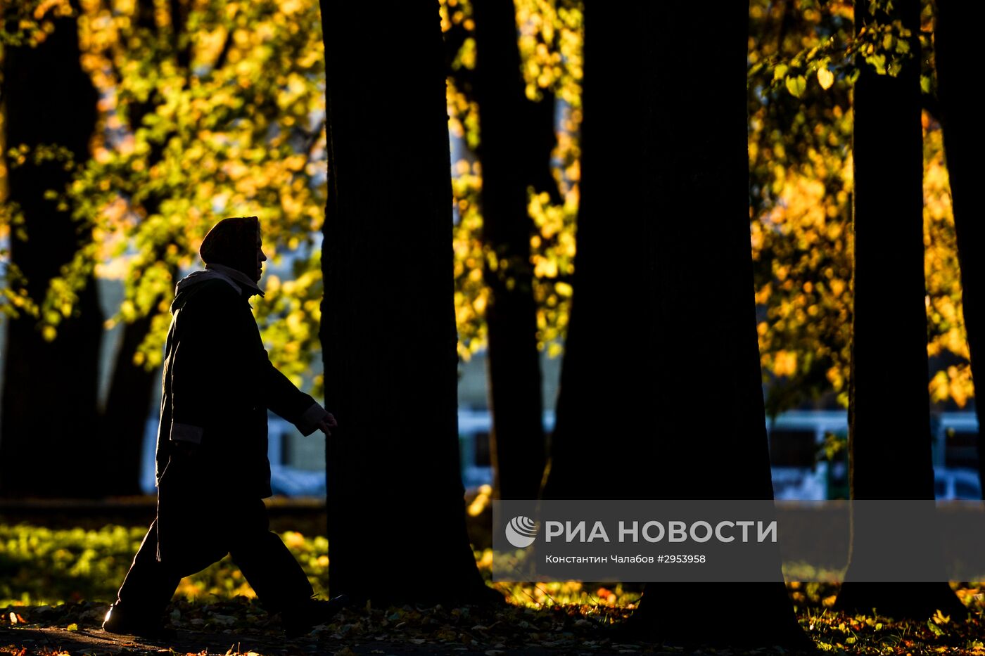 Золотая осень в Великом Новгороде