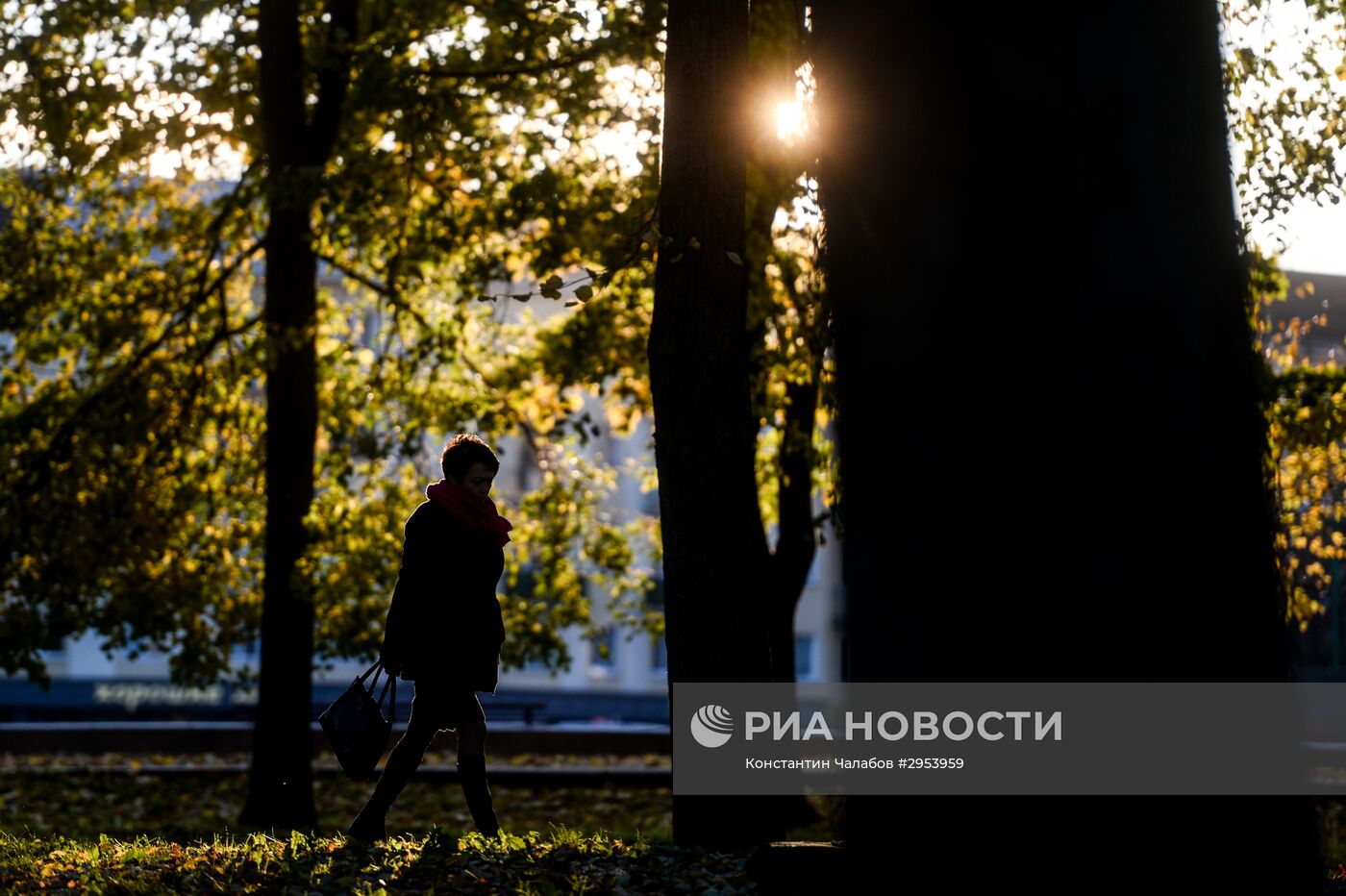 Золотая осень в Великом Новгороде