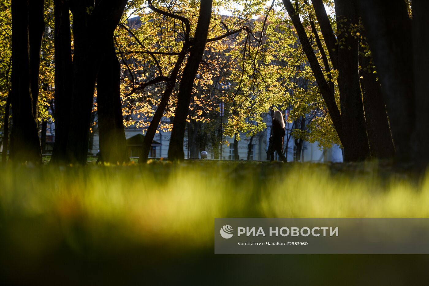 Золотая осень в Великом Новгороде