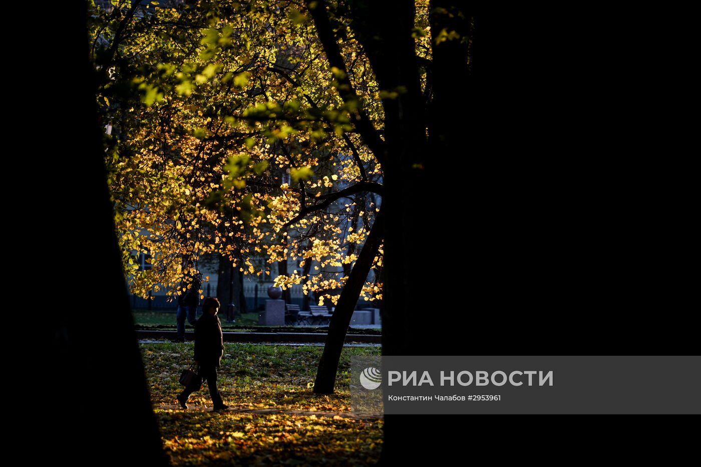 Золотая осень в Великом Новгороде