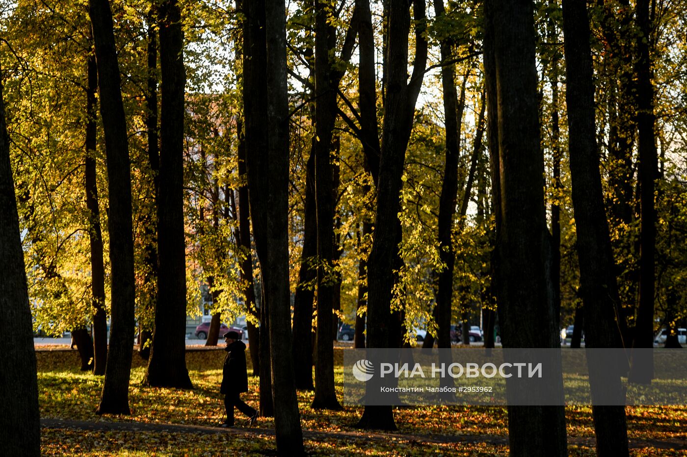 Золотая осень в Великом Новгороде