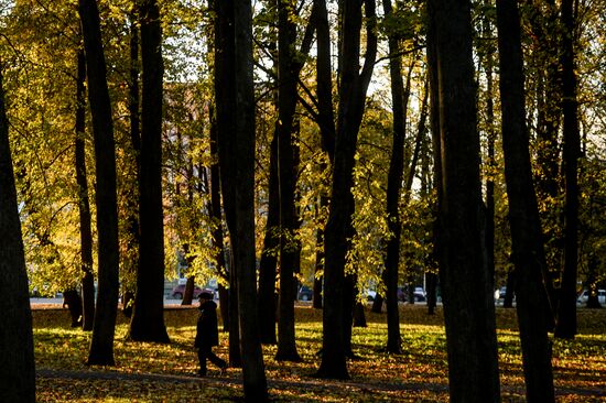 Золотая осень в Великом Новгороде