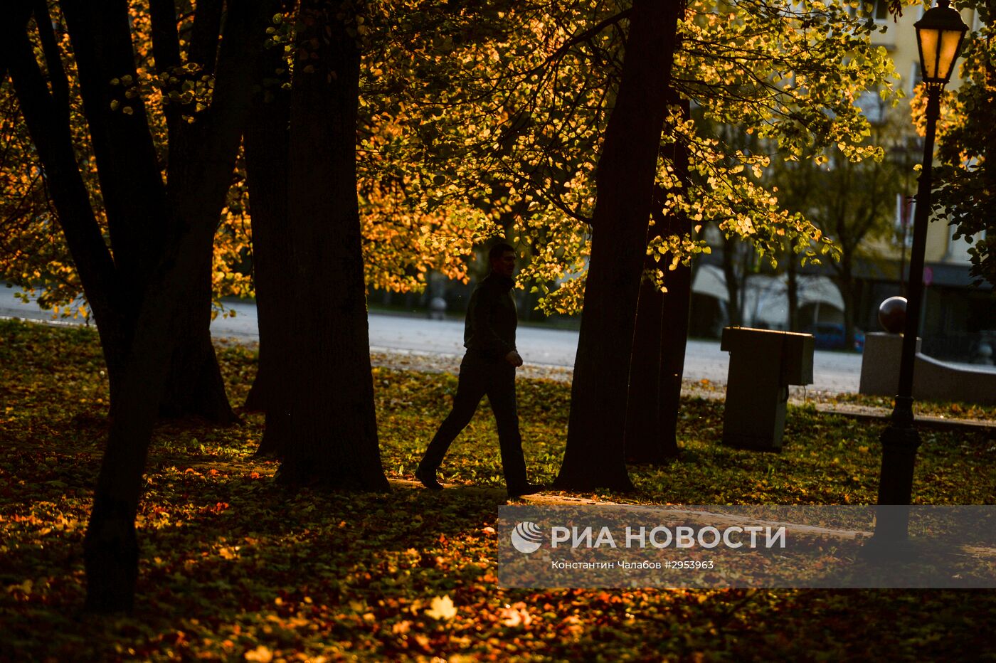 Золотая осень в Великом Новгороде