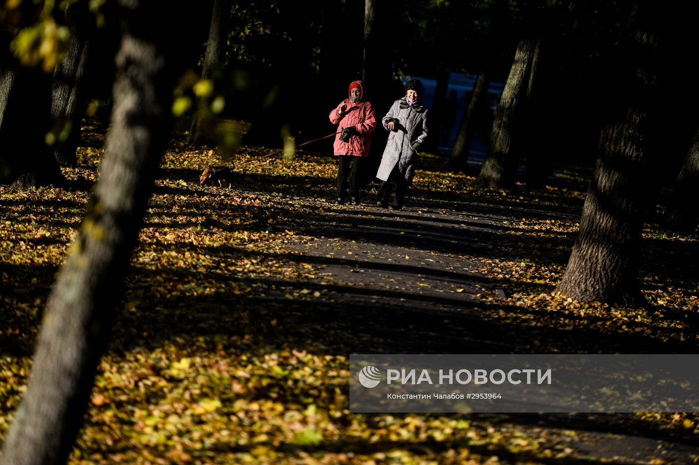 Золотая осень в Великом Новгороде