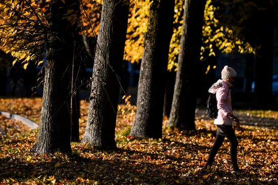 Золотая осень в Великом Новгороде