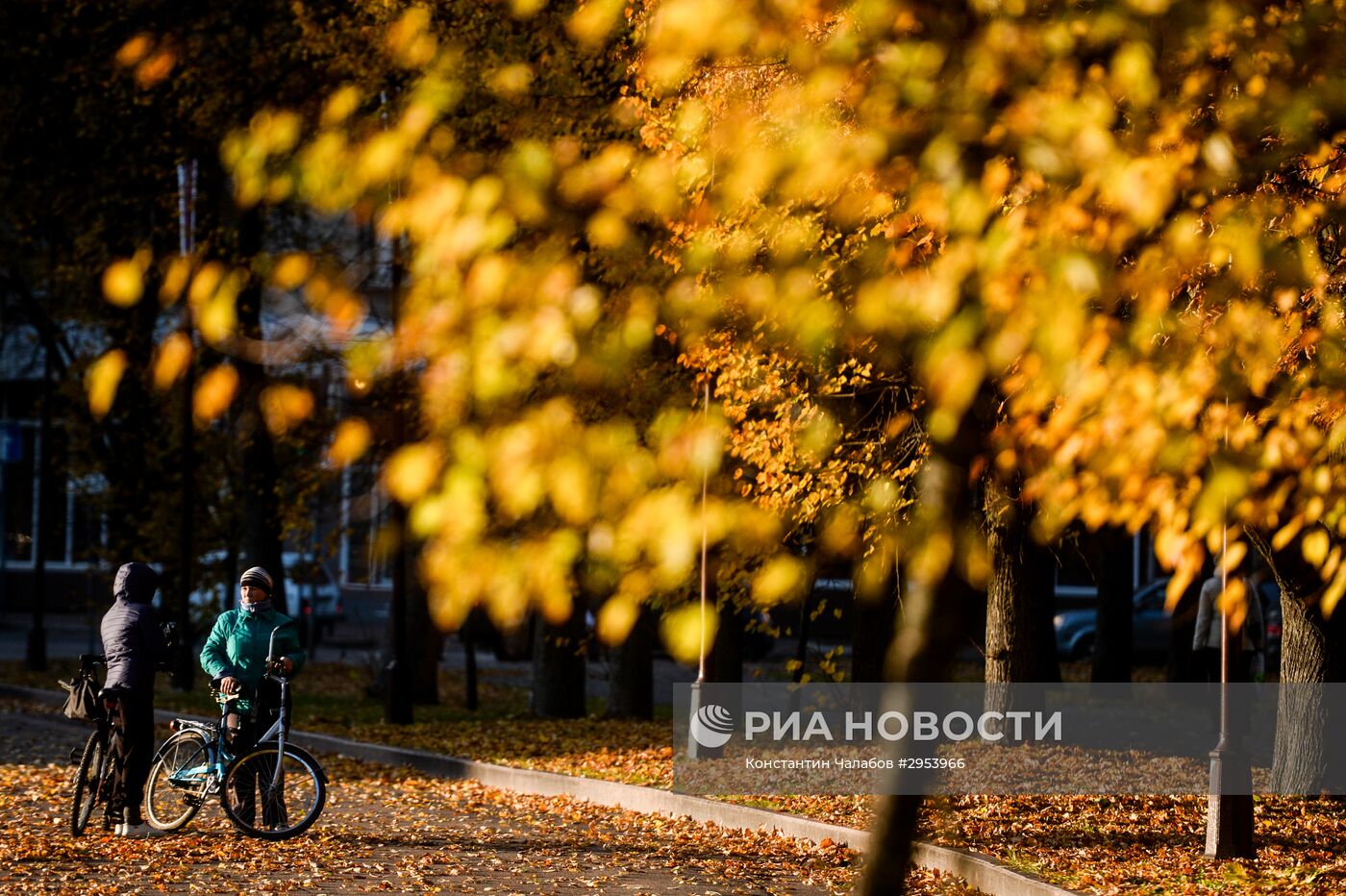 Золотая осень в Великом Новгороде