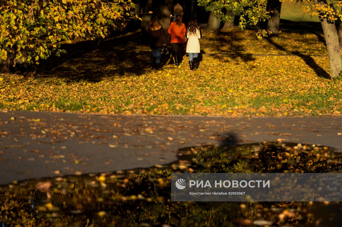 Золотая осень в Великом Новгороде