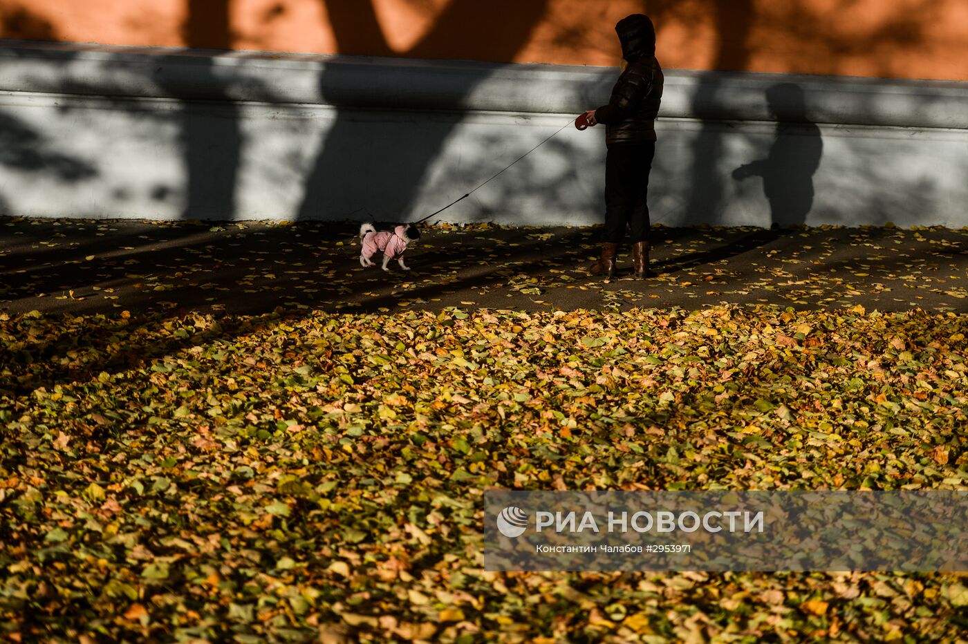 Золотая осень в Великом Новгороде