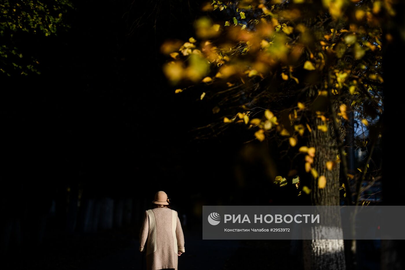 Золотая осень в Великом Новгороде