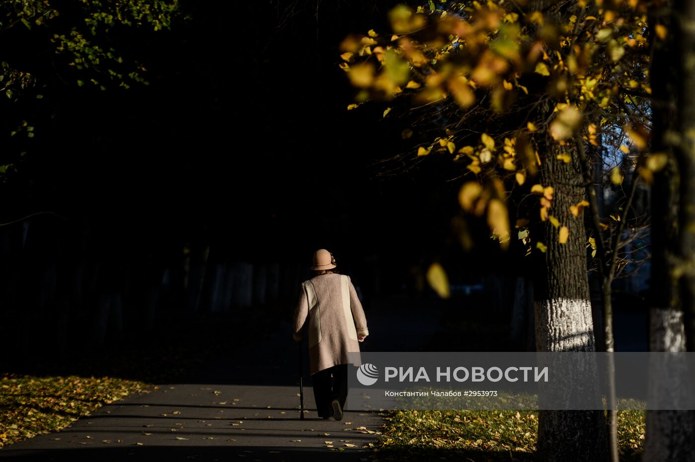 Золотая осень в Великом Новгороде