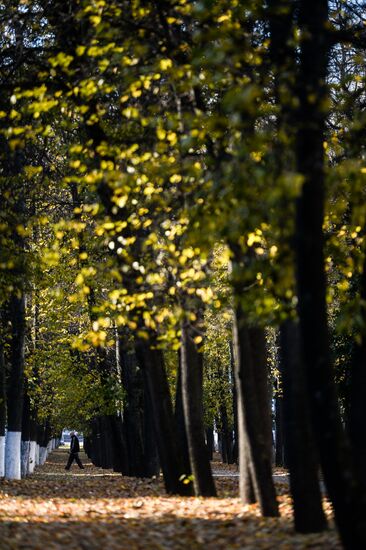 Золотая осень в Великом Новгороде