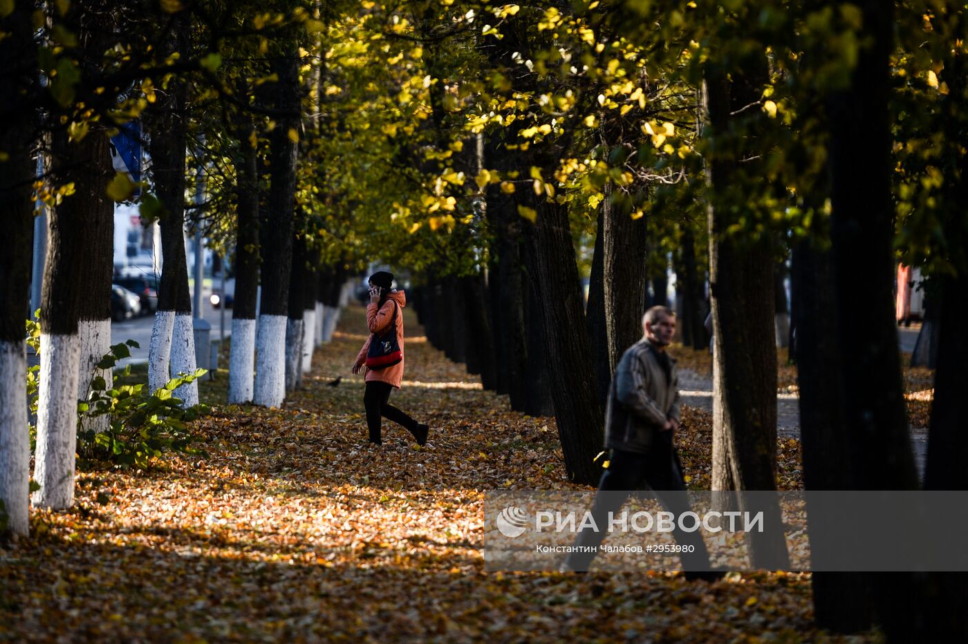 Золотая осень в Великом Новгороде