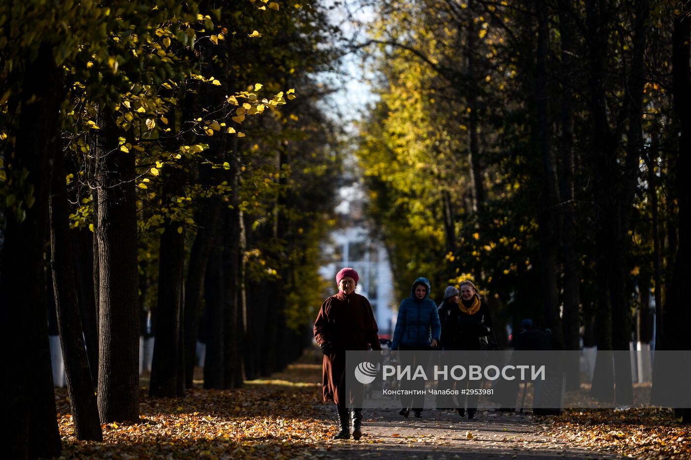 Золотая осень в Великом Новгороде