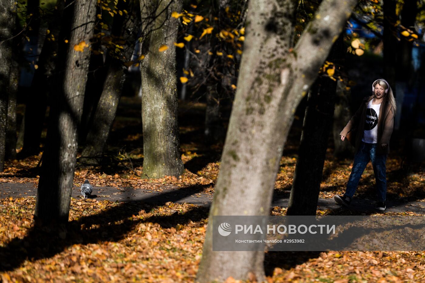 Золотая осень в Великом Новгороде