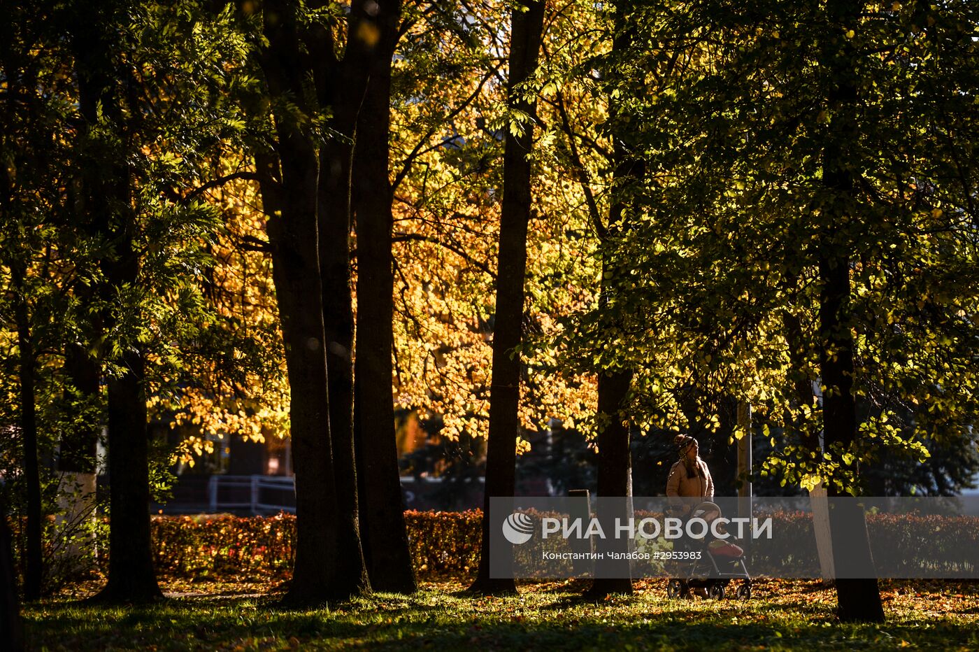 Золотая осень в Великом Новгороде