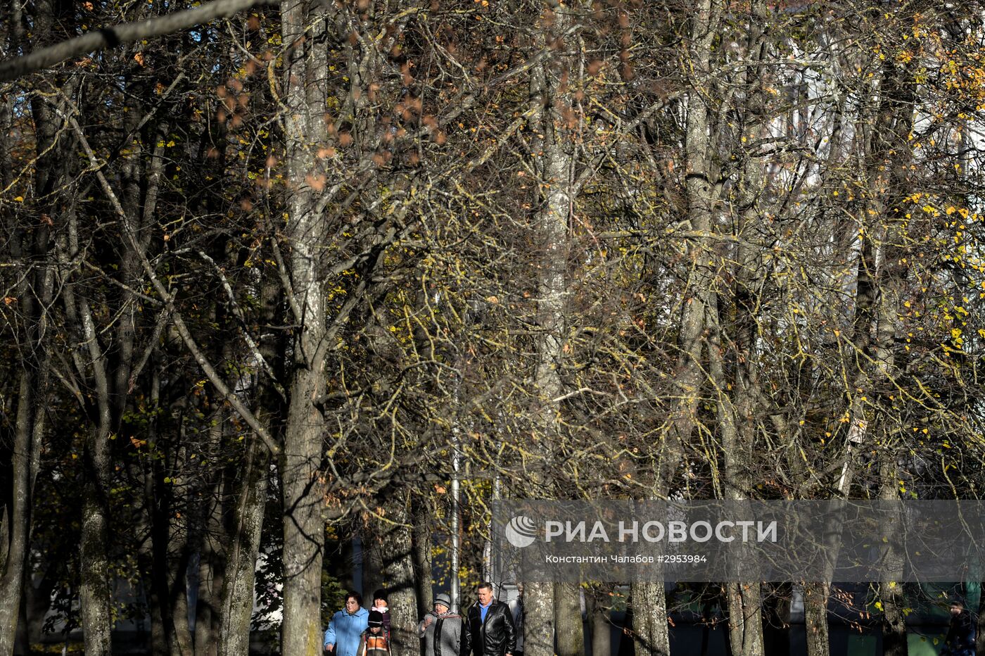 Золотая осень в Великом Новгороде