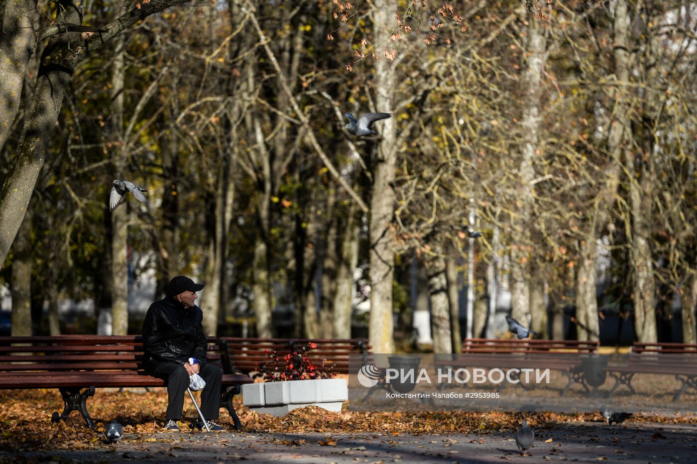 Золотая осень в Великом Новгороде