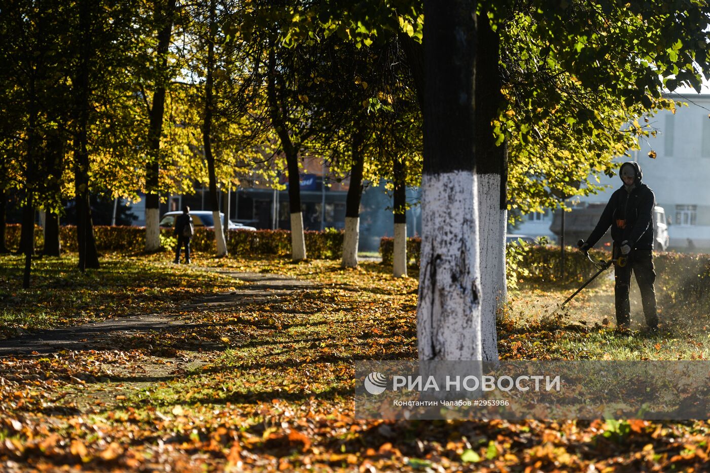 Золотая осень в Великом Новгороде