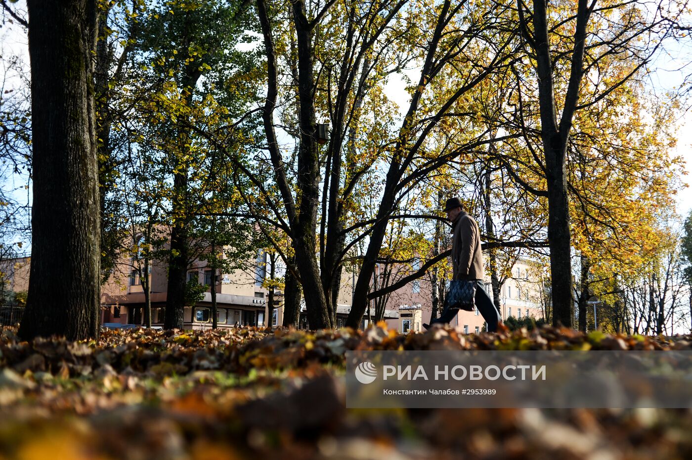 Золотая осень в Великом Новгороде