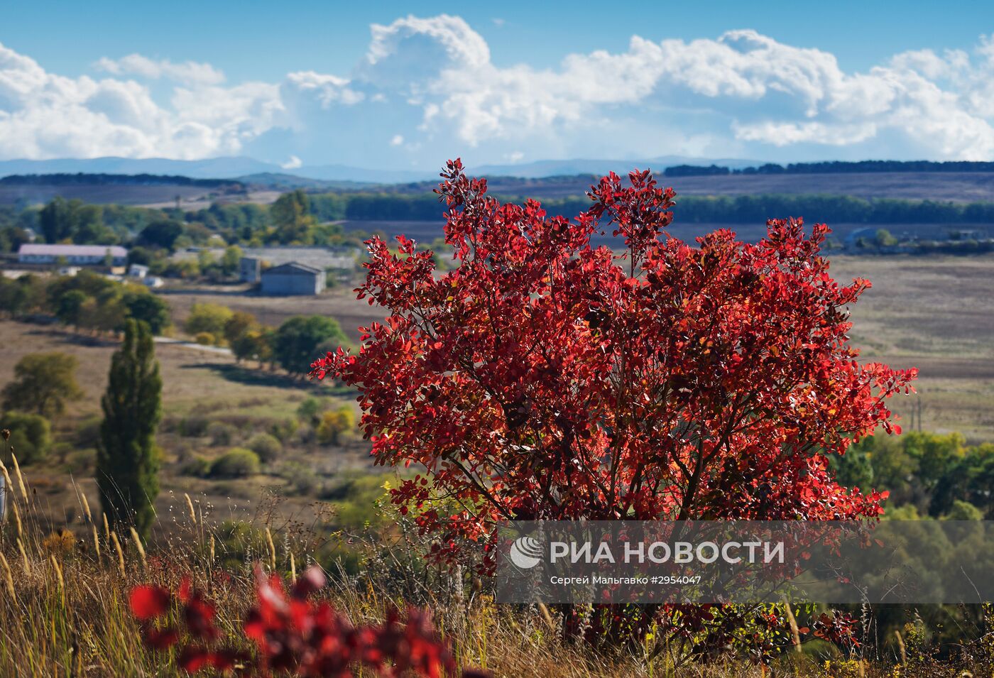 Осень в Крыму