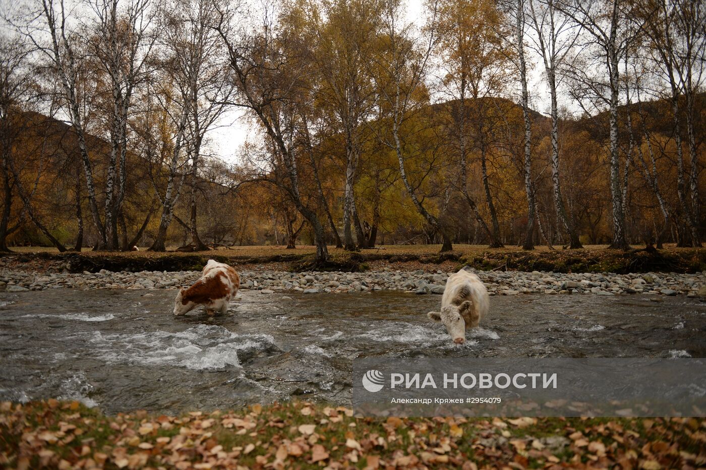 Повседневная жизнь