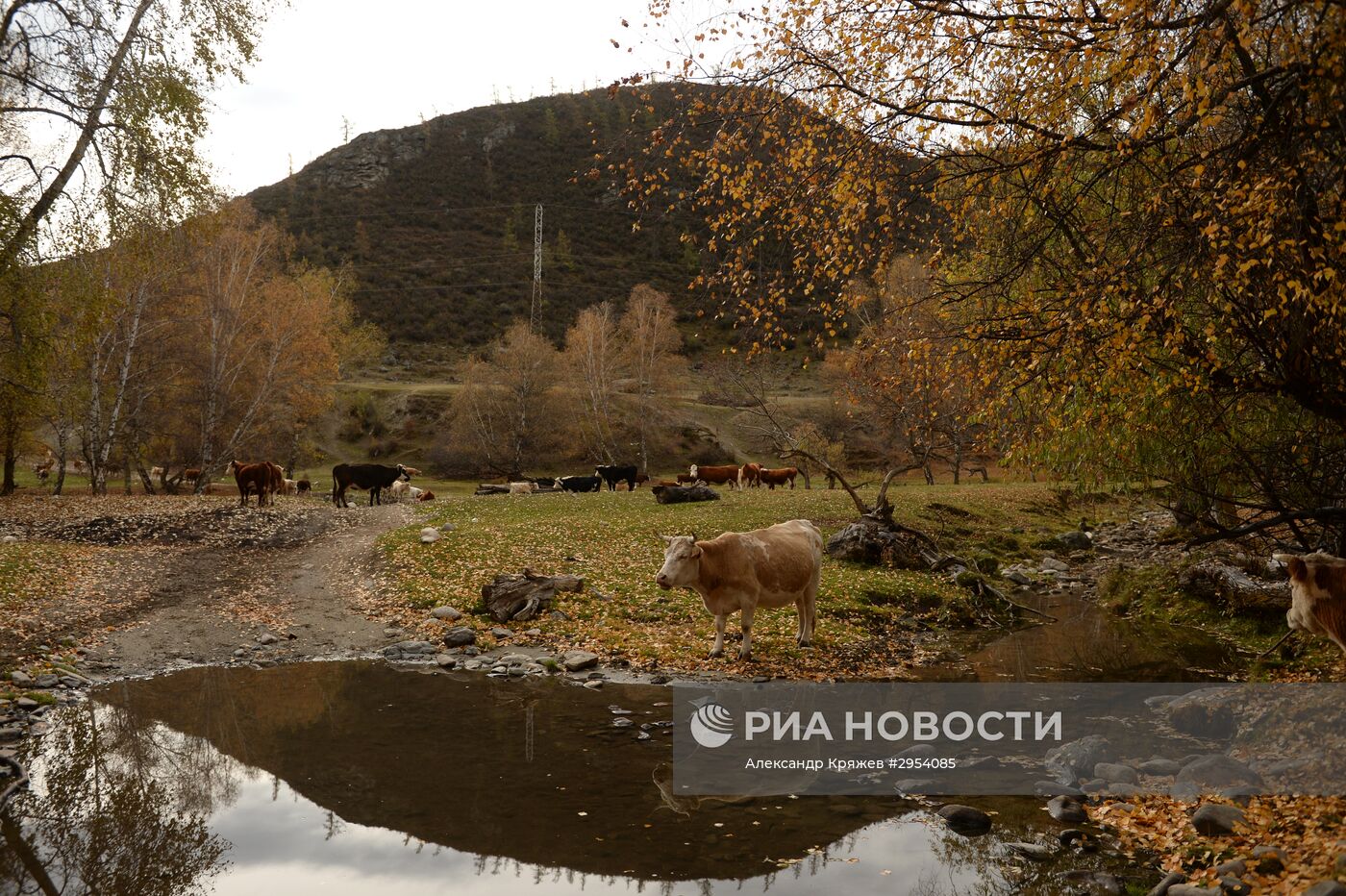 Повседневная жизнь