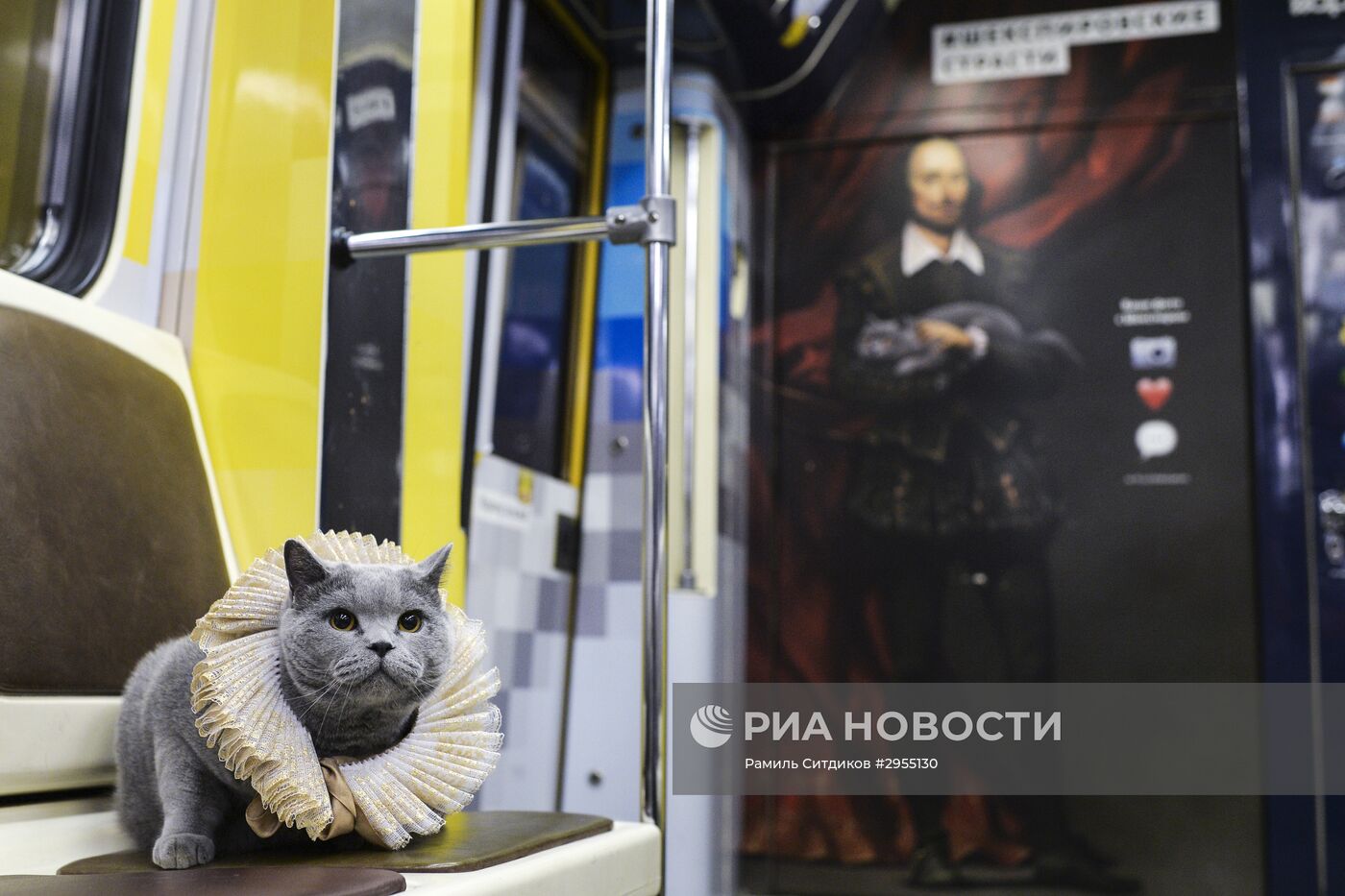 Британский кот стал пассажиром Шекспировского поезда