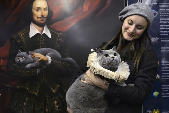 Британский кот стал пассажиром Шекспировского поезда метро в Москве