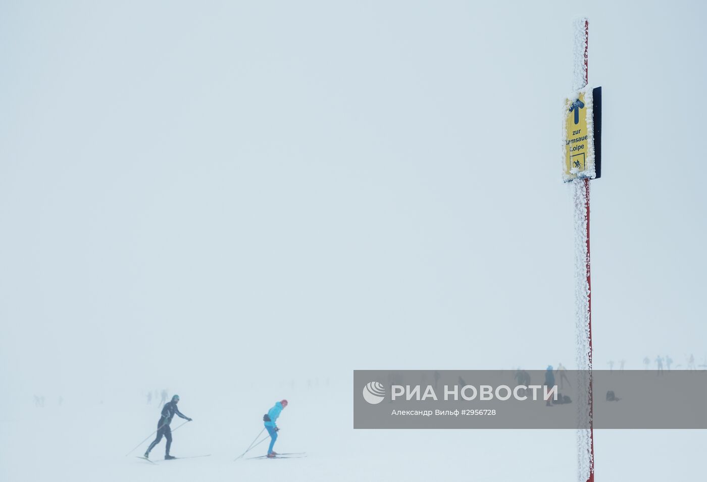 Лыжный спорт. Тренировочный сбор национальной сборной