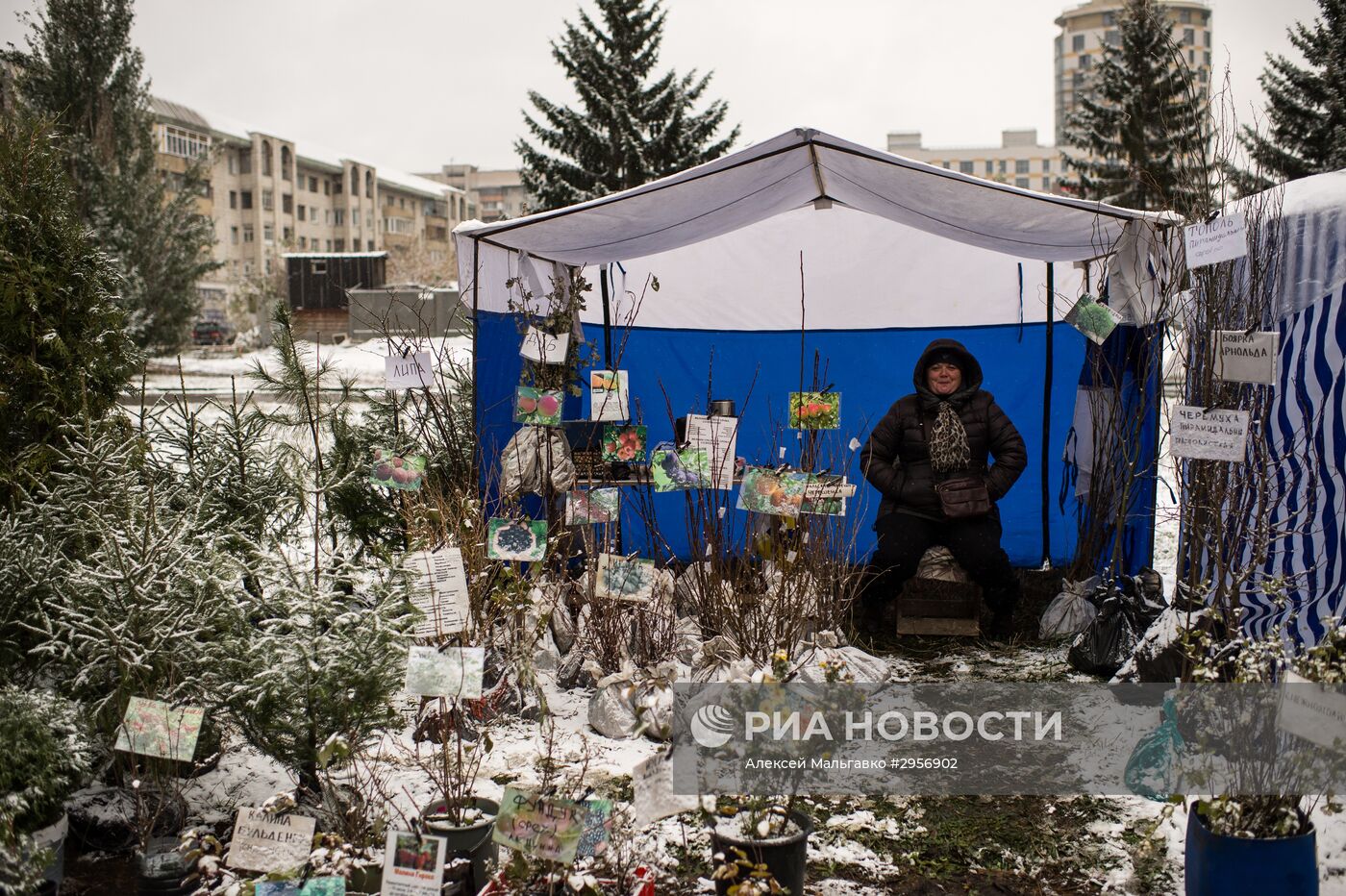 Покровская ярмарка в Омске