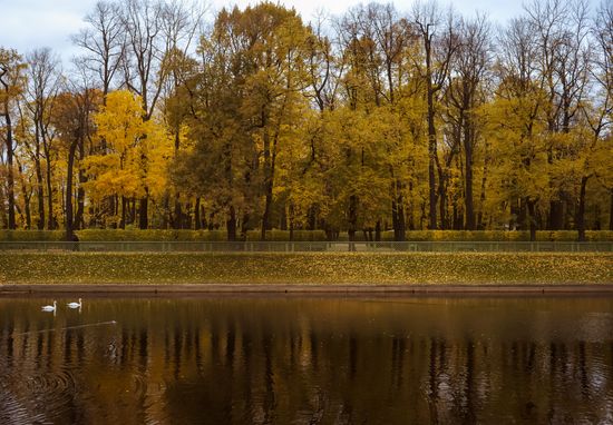 Золотая осень в Летнем саду в Санкт-Петербурге