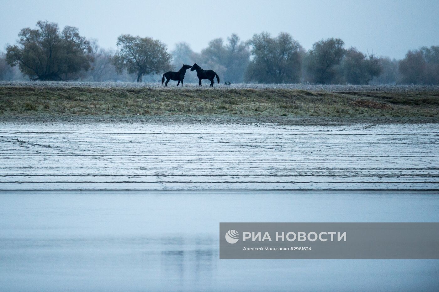 Школьник Айдар Колдашев из омской деревни Сибиляково