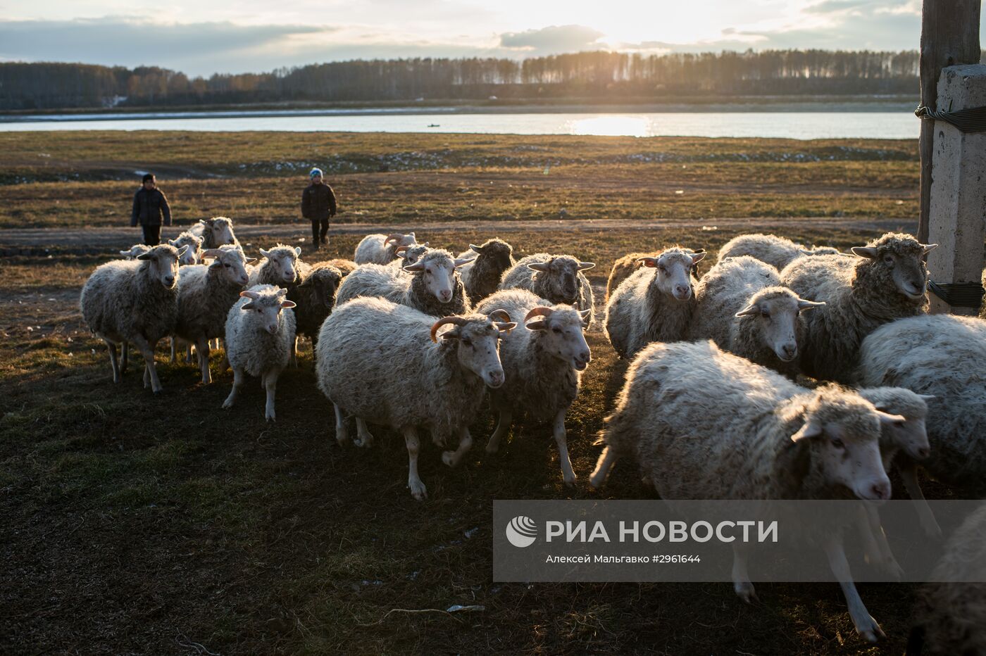 Школьник Айдар Колдашев из омской деревни Сибиляково