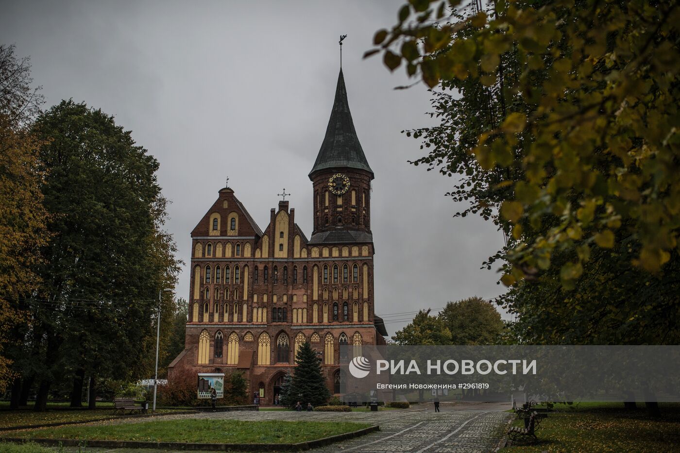 Города России. Калининград