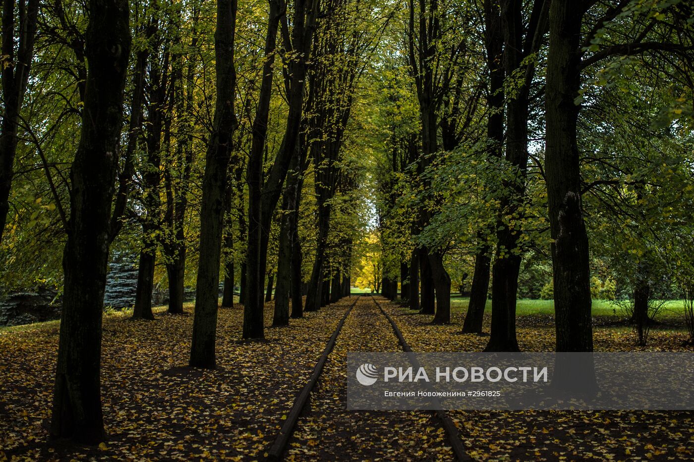 Города России. Калининград