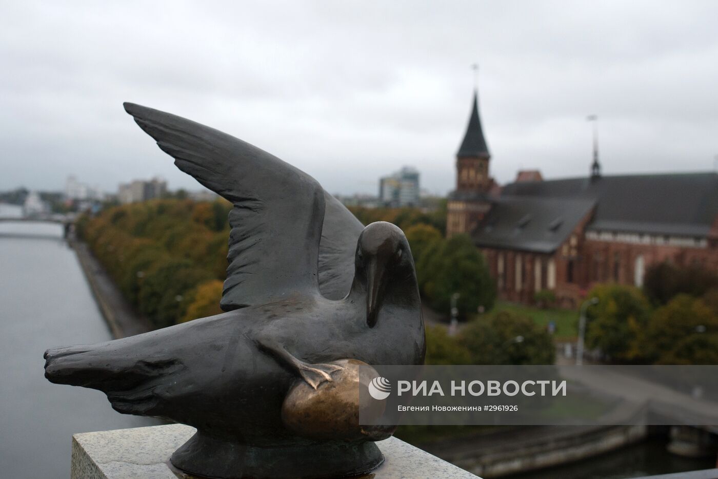 Города России. Калининград