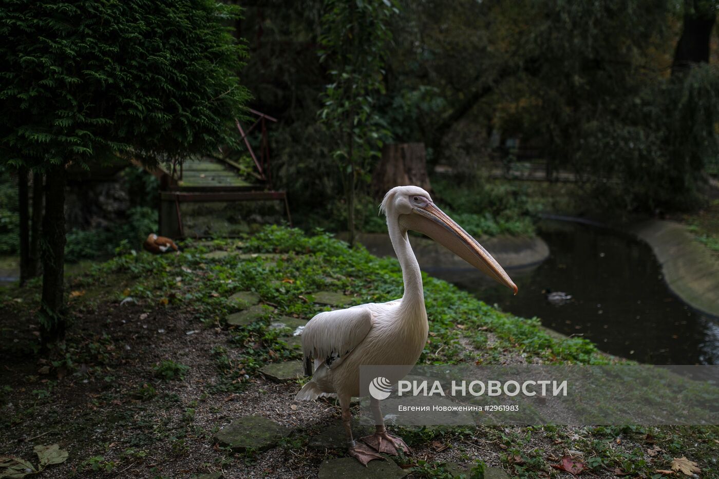 Калининградский зоопарк