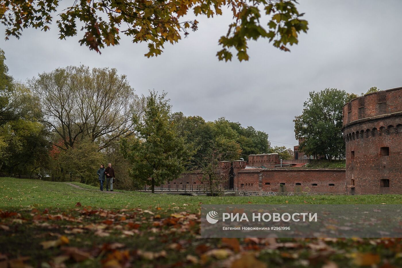 Города России. Калининград