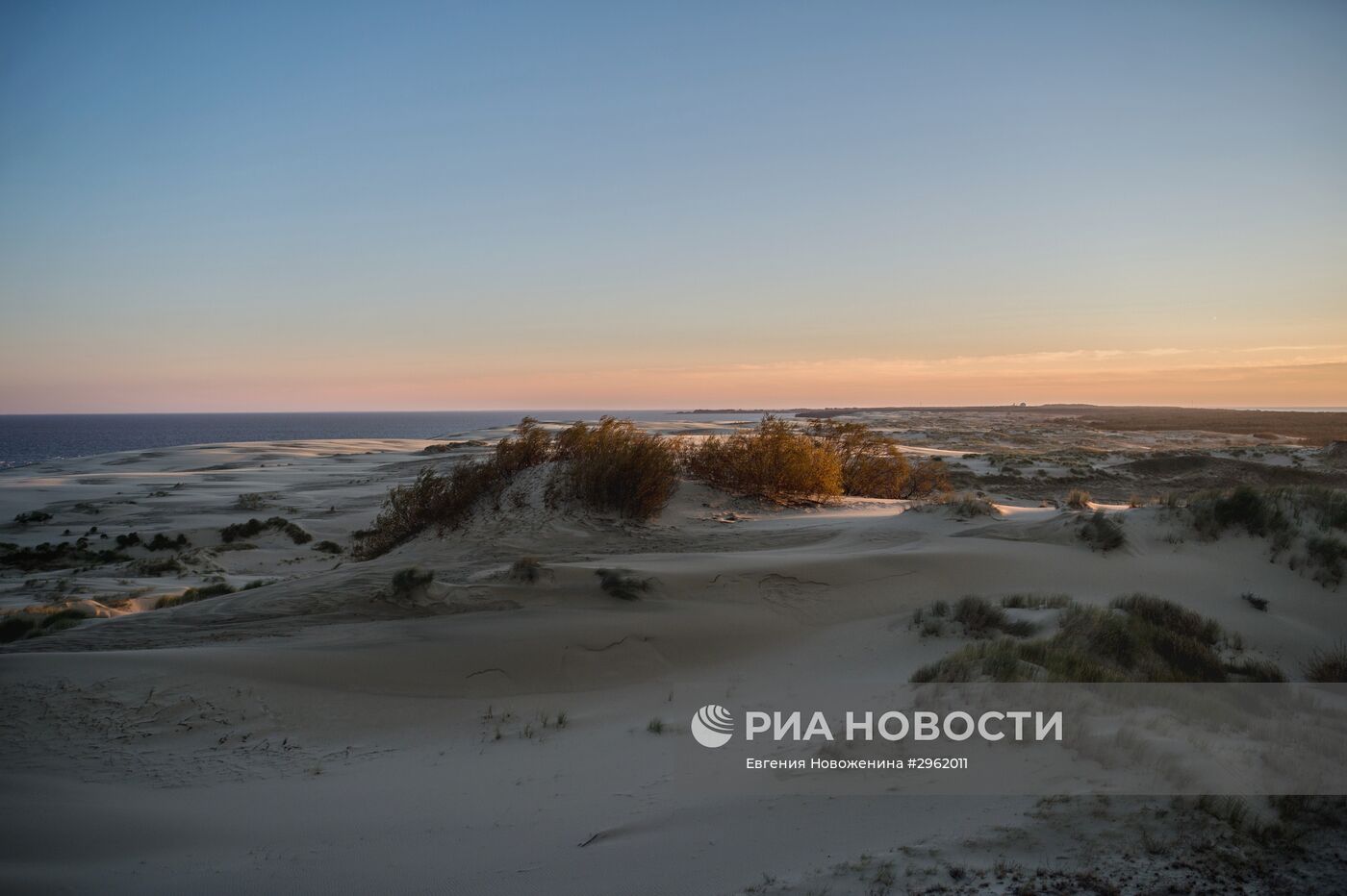 Национальный парк "Куршская коса" в Калининградской области