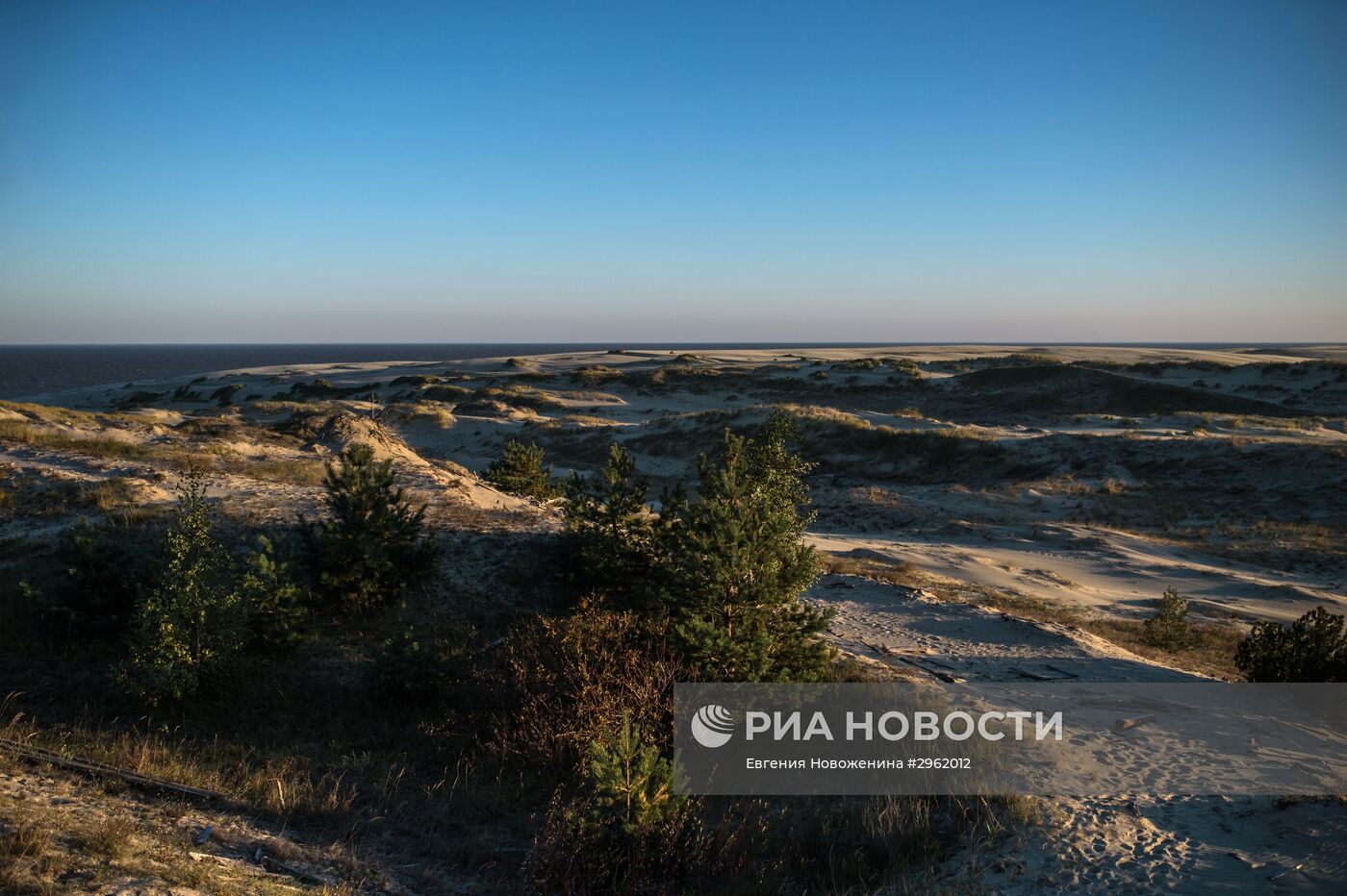 Национальный парк "Куршская коса" в Калининградской области