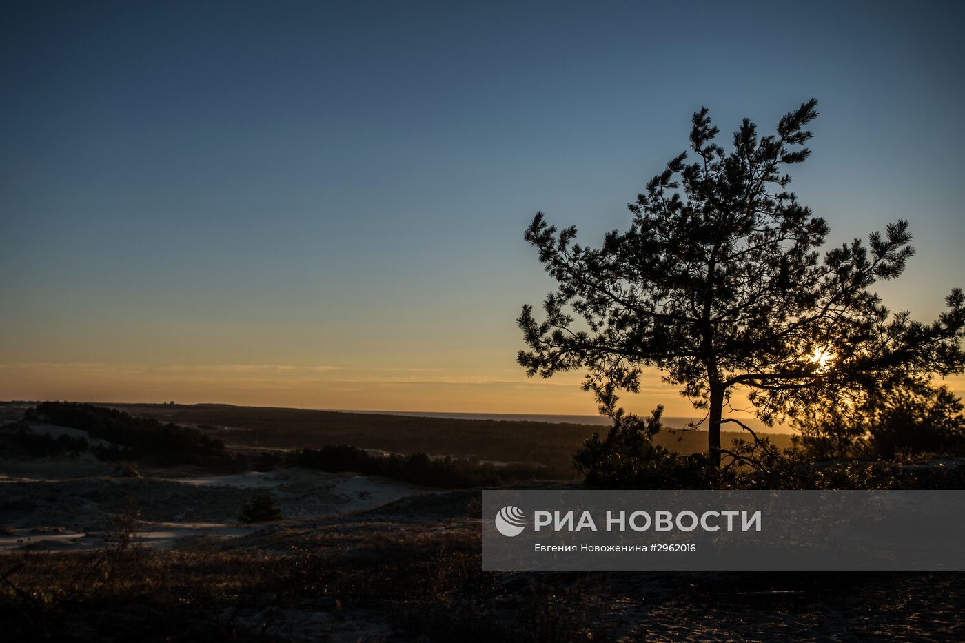 Национальный парк "Куршская коса" в Калининградской области