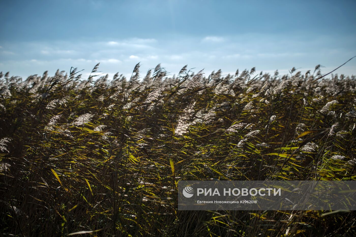 Национальный парк "Куршская коса" в Калининградской области