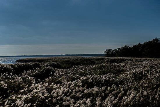 Национальный парк "Куршская коса" в Калининградской области
