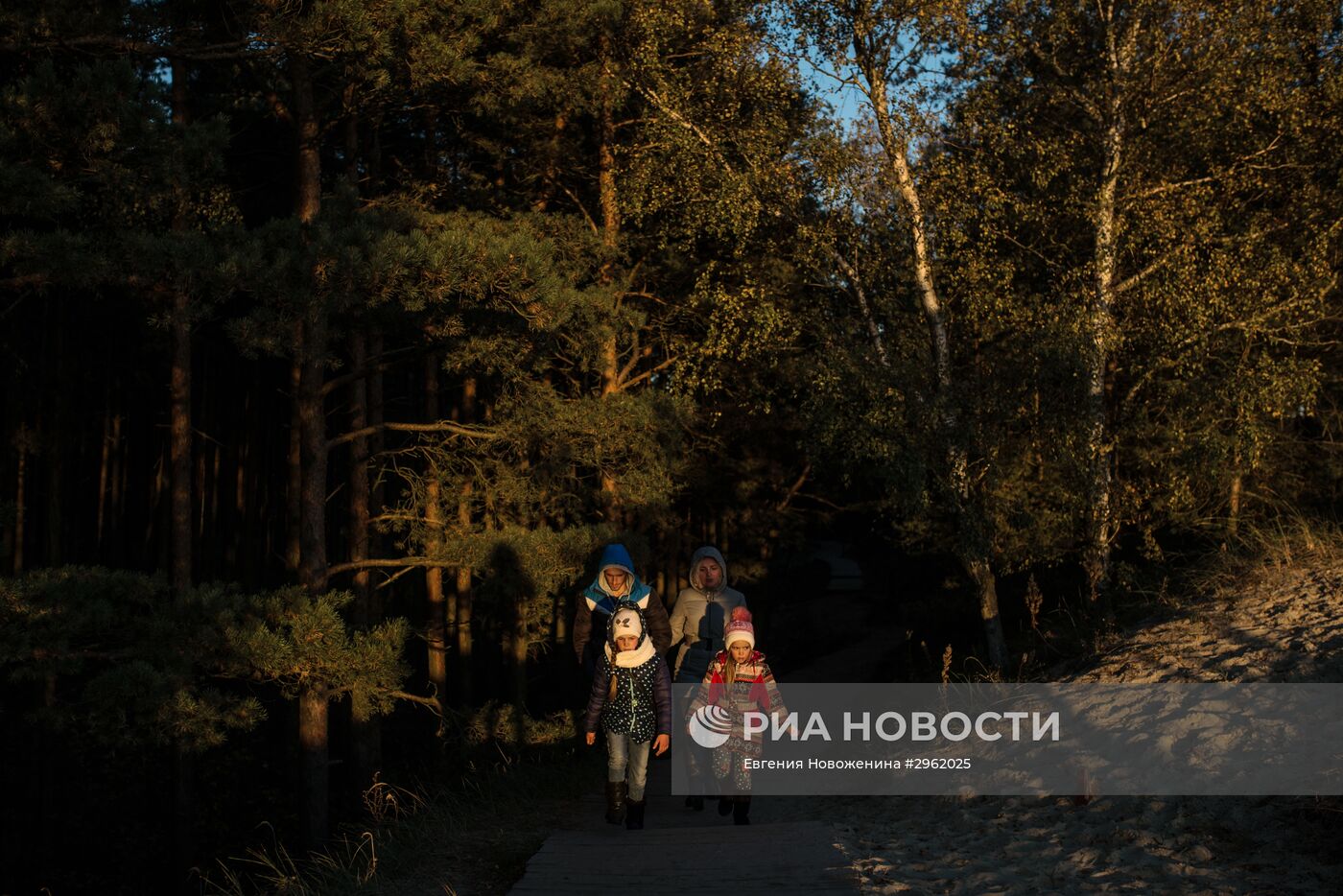 Национальный парк "Куршская коса" в Калининградской области