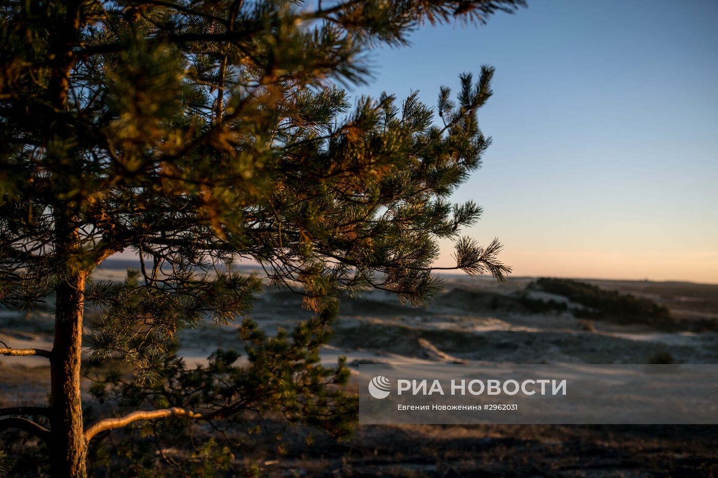 Национальный парк "Куршская коса" в Калининградской области